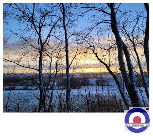 Serie - GREIZ22 - 21. Januar 2022 - Hohndorf (4).JPG